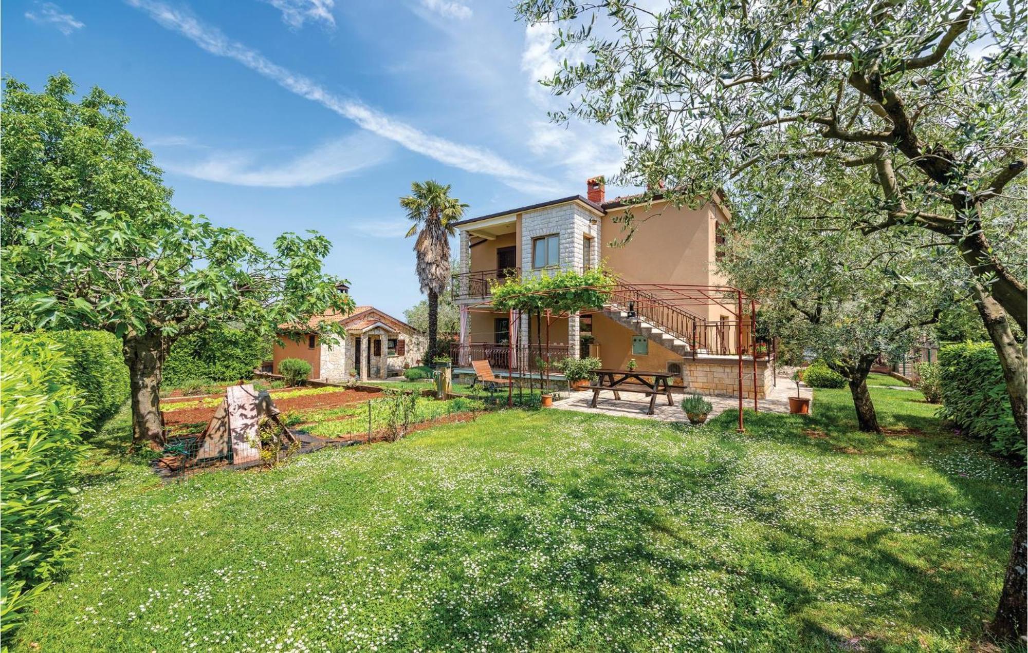 Apartment Stunning In With Wifi Umag